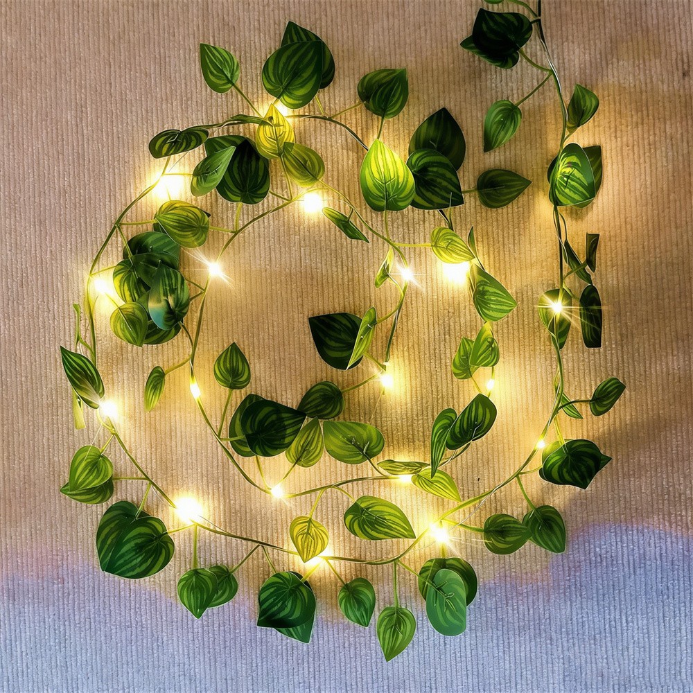 LED Groene Rotan Blad Fairy Li - Outdoor Power For Wedding recensie en prijs